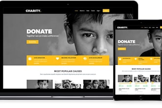 design nonprofit website 501c3 website ngo charity website with donation system