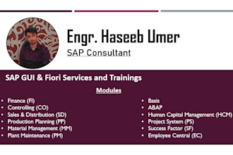 provide sap services, support and training