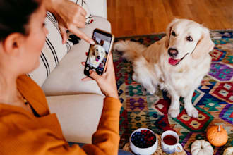 develop dog boarding, pet sitting, dog walking app website