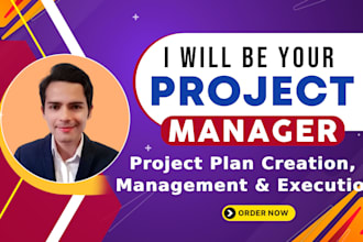 be your project manager and will manage your project and execution