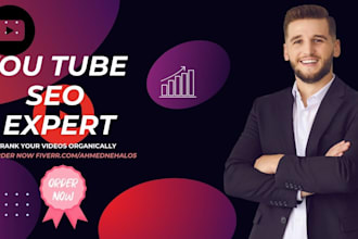 do best youtube SEO expert optimization  and promote video
