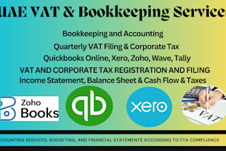provide uae bookkeeping, vat filing and corporate tax consultancy