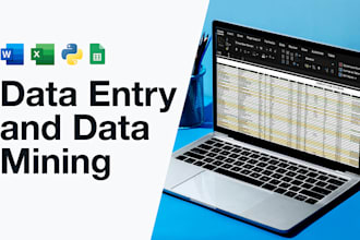 do data entry and data mining