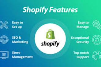 create a top rated shopify store with professional design