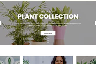 customize wordpress website using avada theme, bethem, the7 theme, flatsome