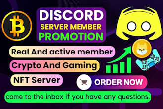 professional discord server growth, discord server promotion