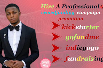 crowdfunding campaign promotion for your kickstarter  gofundme campaign