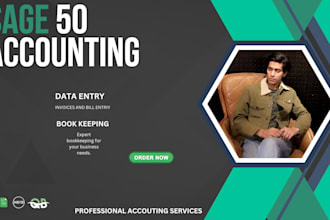 do sage , quick book ,  keeping and data entry