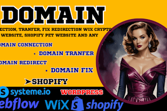 connect, transfer, fix domain to shopify pet store, wix crypto, truck website