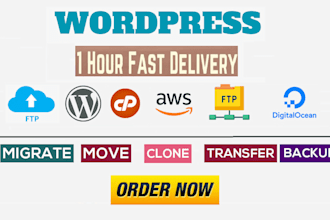 migrate wordpress website, move wordpress within 30 minutes