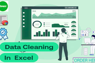 do data cleaning, modification, and organizing data in excel files