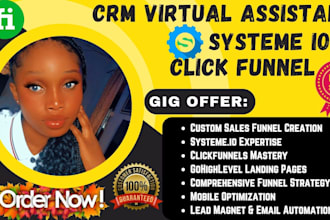 be your stanstore gumroad systeme io gohighlevel shopify virtual assistant