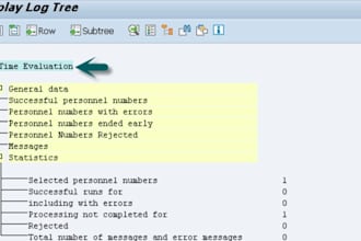 provide sap hcm support