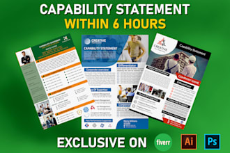 design a professional, government and business capability statement in 6 hours