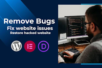 remove bugs, fix website issues, and restore hacked website