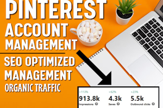 be your pinterest marketing manager, setup and optimize seo pins and boards