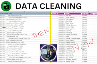 excel, excel data cleaning, excel data enter