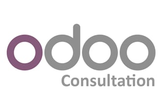 do odoo HR consulting, payroll management