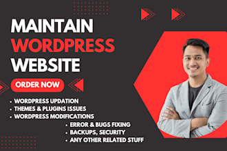 do wordpress website maintenance, customization, bug fixes, support, and updates