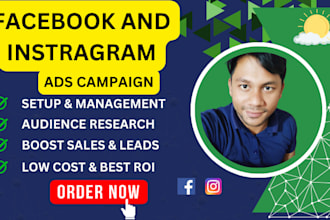 serve as your knowledgeable facebook ads campaign manager