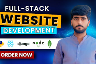 fix bugs and make django react application for you
