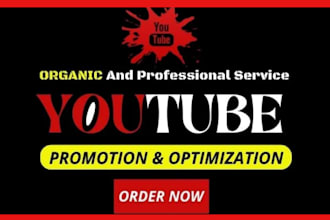 do super fast organic youtube video promotion