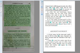 expert text extraction and regular expression regex services