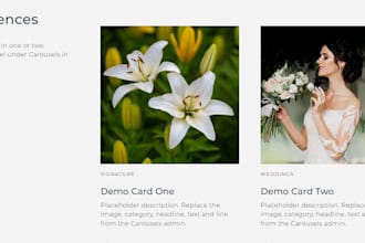 create custom animated, carousels sliders for your  wordpress