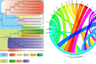 all type ngs data analysis  and manuscript writing