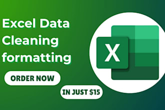 do excel data cleaning, formatting and organize