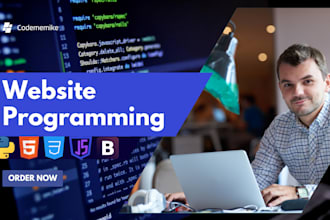 program and develop your business website