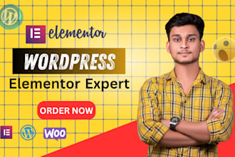 do wordpress website design clone wordpress website or landing page design
