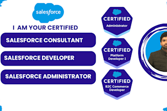 be your salesforce admin, developer and consultant