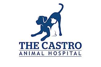 make a creative pet dog animal store and any minimalist logo design