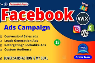 be your expert facebook meta ads coach and consultant