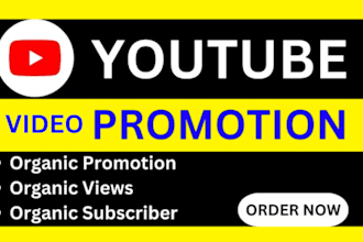 do organic and super fast youtube video promotion and channel growth