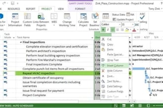 prepare a project schedule on ms project