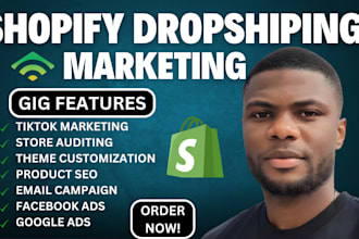 boost shopify dropshiping store sales etsy shop marketing promotion,google ads