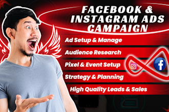 set up facebook and instagram ads campaigns, meta ads campaigns