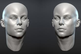 sculpt 3d statue, 3d sculpture, stl file, 3d head, miniature, ready for 3d print