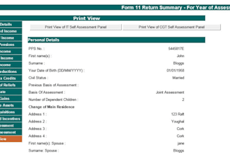 do irish accounts and tax filings form 11 corporation tax