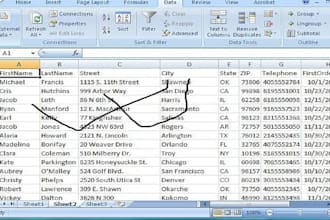 do big data entry for you