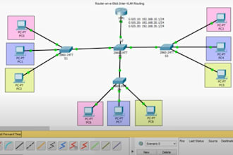 do cisco and computer networking related task