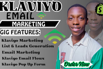 setup klaviyo email marketing, klaviyo flows or email marketing