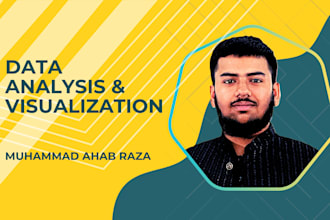 perform data analysis and visualization