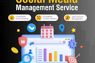 professionally do your social media management