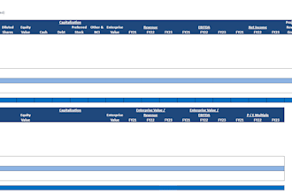 do financial analysis and business consulting