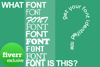 accurately identify any font in anything