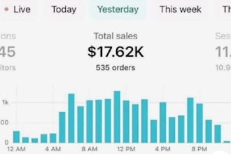 boost shopify sales ecommerce marketing manager shopify store marketing,