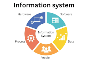 write information systems project